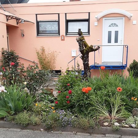 Flat Apartment Offenburg Exterior photo