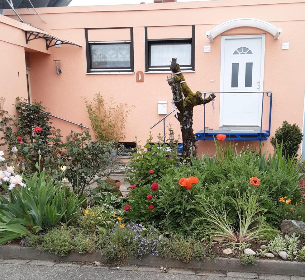Flat Apartment Offenburg Exterior photo